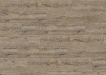 Wineo 400  Vinyl zum Kleben Embrance Oak Grey 1200/180/2 mm Bund à 3,89 m²